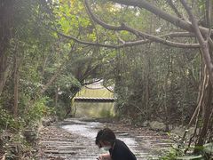 -燕晗山郊野公园