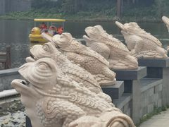-金卉庄园