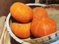 -田园印象·成都土菜院子(华阳店)