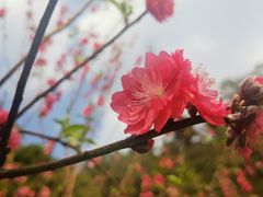 -白水带风景区体育公园