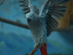 -济南野生动物世界