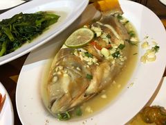 -绿光森林餐厅