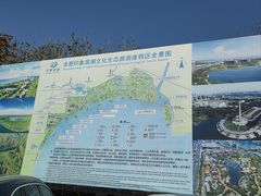 -合肥滨湖国家森林公园