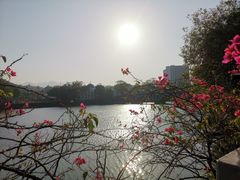-广东温泉宾馆