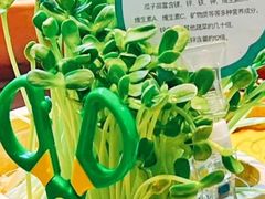 -阳坊涮肉(西直门凯德mall店)