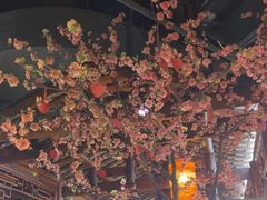 -卞氏菜根香·川菜(青羊万达店)