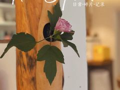 -茶是一枝花泡茶店