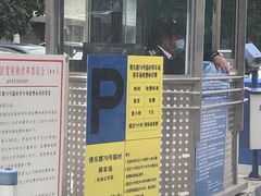 -嘉定紫藤园