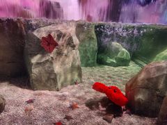 -沈阳海洋探索中心