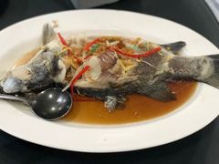 -光海鲜鱼翅餐厅(叻差拉披色路店)