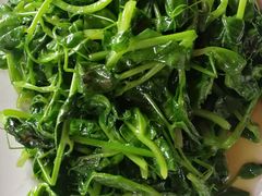 豌豆苗-代木儿回锅肉