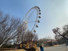 -石家庄市植物园