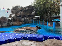 -海合安成都极地海洋公园
