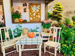 -杭州植物园