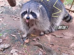 -云南野生动物园