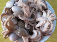 -渔家小院观海海肠捞饭地方菜(环海中路店)