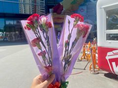 -青年公社烤鸭(姚家园万象汇店)