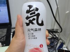 元气森林夏黑葡萄味苏打气泡水-良品铺子(武陵大道店)
