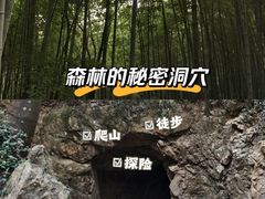 -上海佘山国家森林公园天马山园