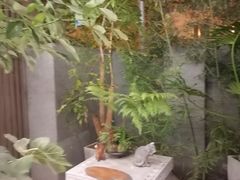-王府茶楼茶宴·创意菜(朝阳公园店)