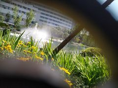 -北湖公园