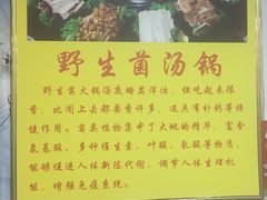 -波密野生菌王酒家