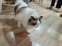 -白兔子密室(长寿路店)