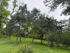 -元大都城垣遗址公园