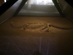 -世界恐龙谷景区