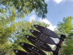 -宁波浙东大竹海景区