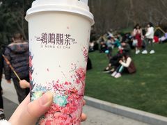 -鸡鸣赐茶(鸡鸣寺路店)