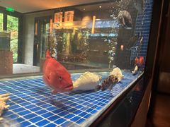 -新荣记(西溪湿地店)