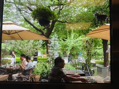 -缘生态云南菜·野生菌庭院餐厅(华侨城店)