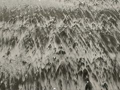 -台山黑沙湾海浴场