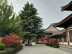 -法门文化景区