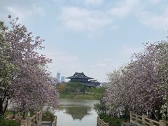 -海珠湖公园