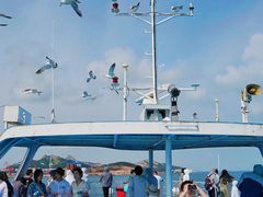 -海驴岛(荣成市)