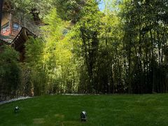 -曲水兰亭(北京四惠店)