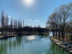 -大兴滨河森林公园