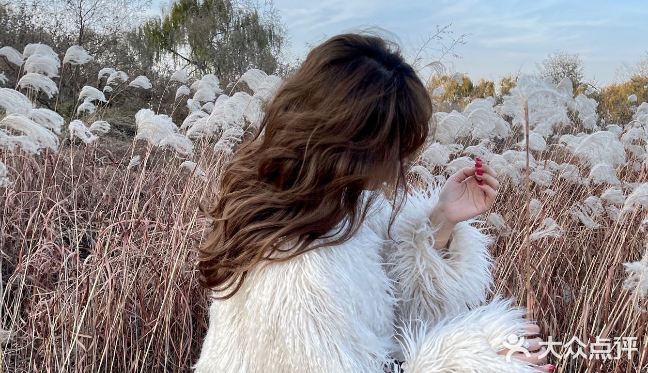 济南免费拍照圣地❗️芦苇荡拍照攻略
