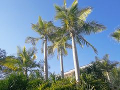 -碧桂园十里银滩