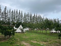 -前小桔亲子创意农场·草莓采摘·露营烧烤