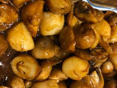 -梁溪河畔·吉府花园(南长街南下塘店)