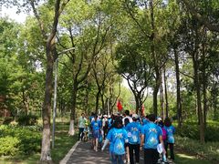 -昆山城市生态森林公园