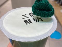 生椰绿宝石牛乳-兰熊鲜奶(颐堤港店)
