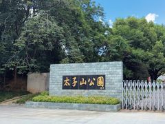 -太子山公园(园东路)