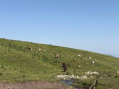 -新疆那拉提国家旅游度假区