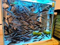 -上海星秀麦量贩KTV(张江商业广场店)