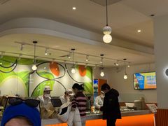 -油梨树 AVOCADO TREE(亮马桥店)