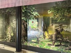 -张家港凤凰山景区河阳山歌馆